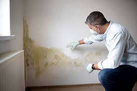 Mold Documentation for Insurance Claims in Maywood, CA